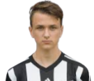 塞尔内亚维奇